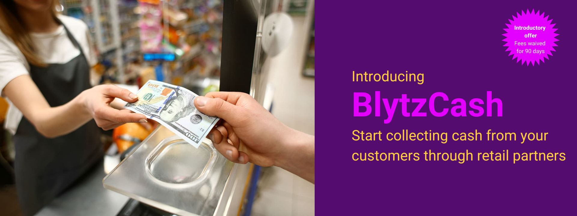 BlytzCash Website Banner